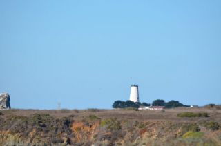 Cambria_0230