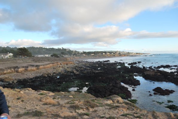 Cambria2010_279