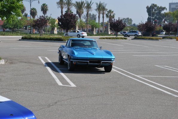 Family_Classic_010
