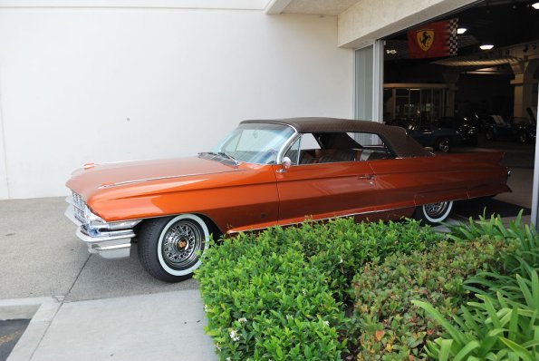 Family_Classic_025