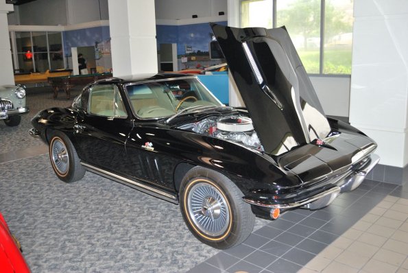 Family_Classic_031