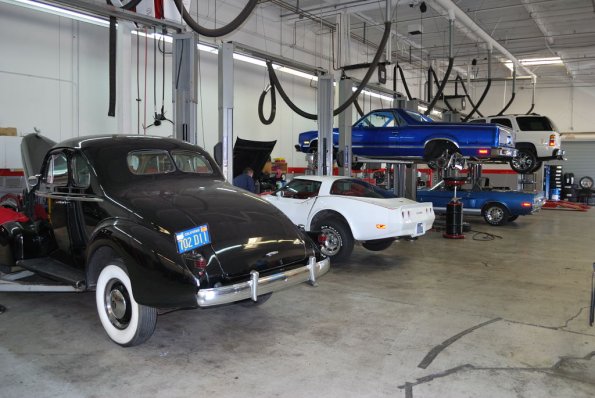 Family_Classic_065