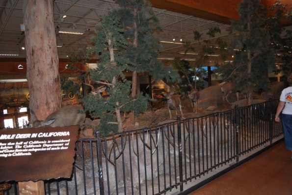 BassProShop_0018