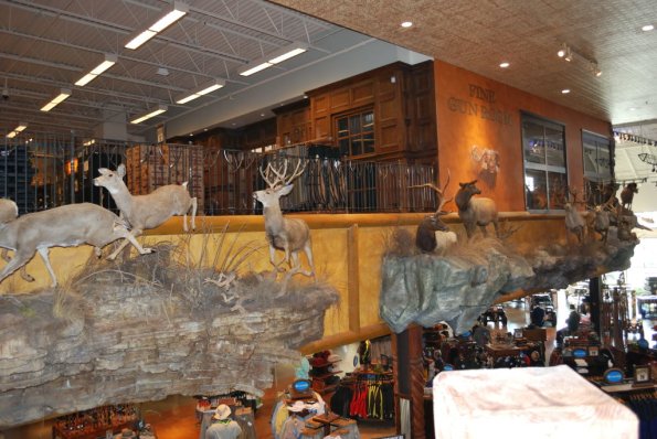 BassProShop_0028