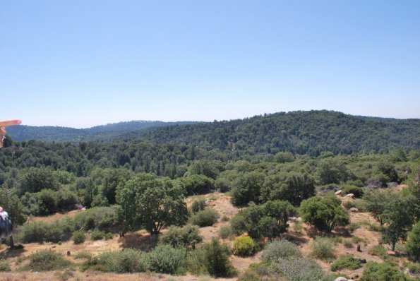 Palomar_0080