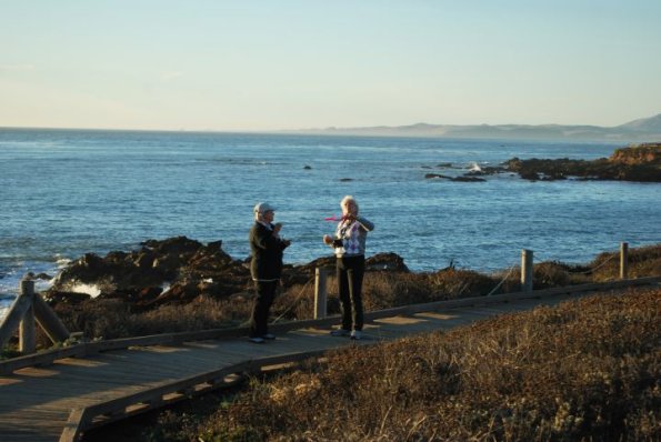 cambria2012_0233