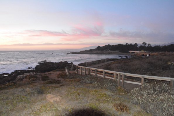 Cambria_0348