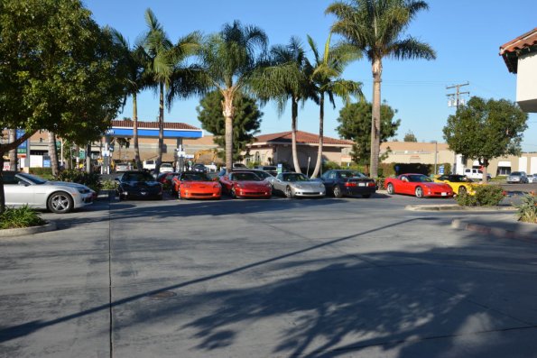 Cambria_0355