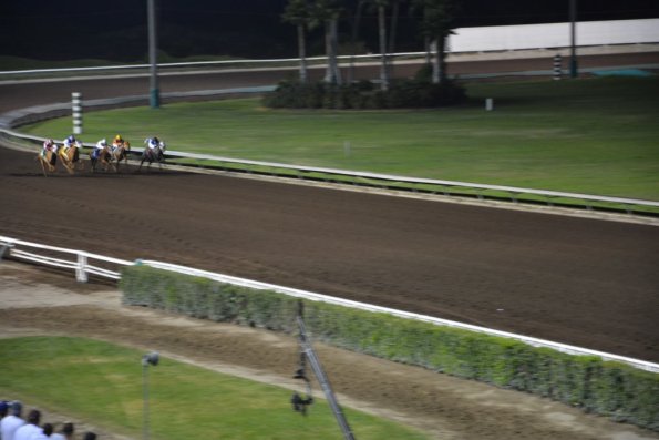 NightAtRaces_0081