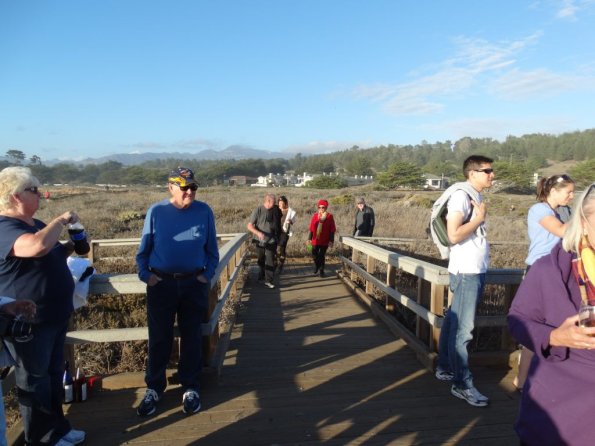 cambria2014_095