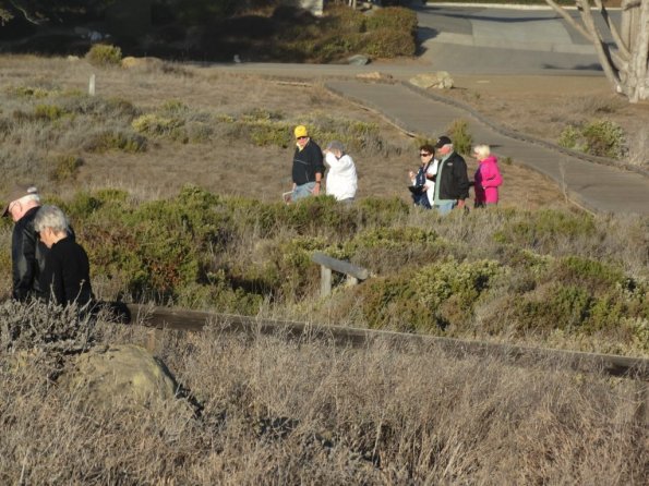cambria2014_098