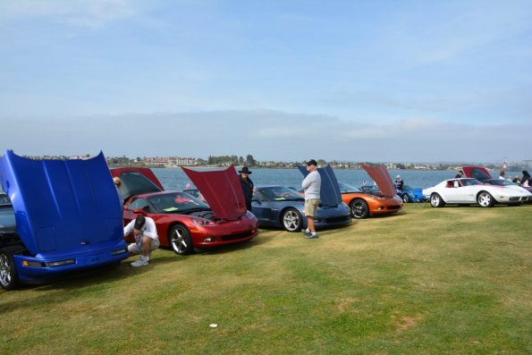 PlasticFantatic_0001