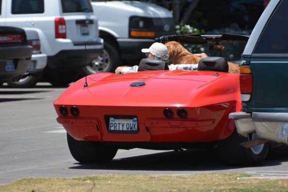 PlasticFantatic_0037