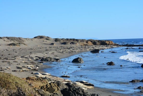 Cambria_2015_0162