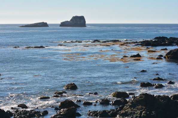 Cambria_2015_0165