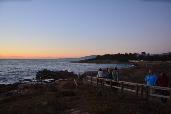 Cambria_2015_0279