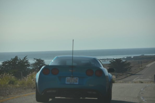 Cambria_CN_0020