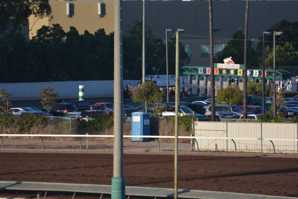LosAl_Race_0067
