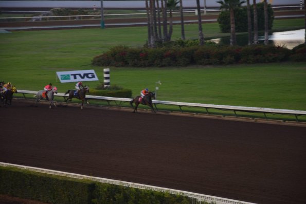 LosAl_Race_0111