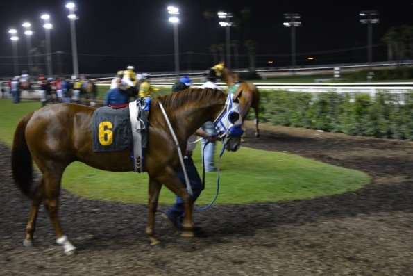 LosAl_Race_0149