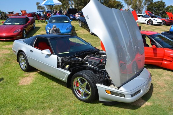 PlasticFantastic_0065