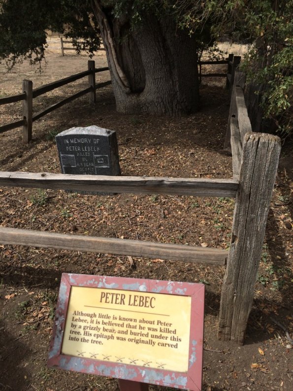 {&quot;focusMode&quot;:0,&quot;deviceTilt&quot;:0.08514122565719084,&quot;whiteBalanceProgram&quot;:0,&quot;macroEnabled&quot;:false,&quot;qualityMode&quot;:3}