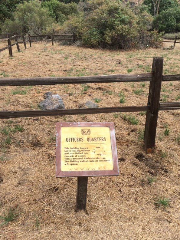 {&quot;focusMode&quot;:0,&quot;deviceTilt&quot;:-0.0411549369480948,&quot;whiteBalanceProgram&quot;:0,&quot;macroEnabled&quot;:false,&quot;qualityMode&quot;:3}