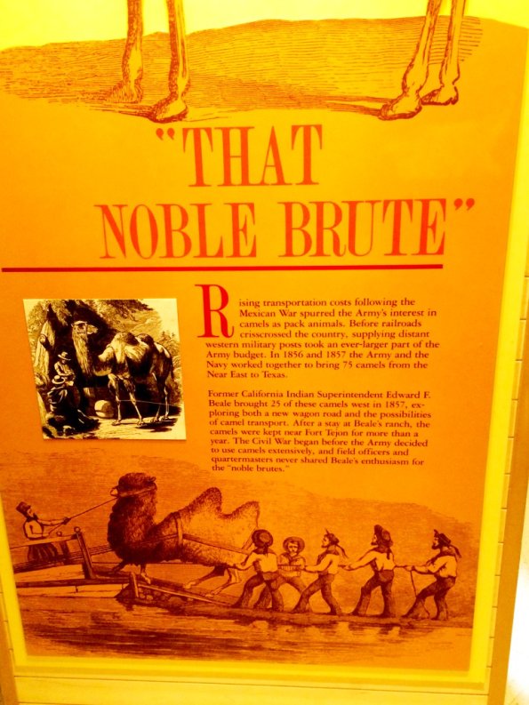 {"focusMode":0,"deviceTilt":0.02657632430526213,"whiteBalanceProgram":0,"macroEnabled":false,"qualityMode":3}