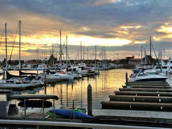 {&quot;focusMode&quot;:0,&quot;deviceTilt&quot;:0.01738491852814761,&quot;whiteBalanceProgram&quot;:0,&quot;macroEnabled&quot;:false,&quot;qualityMode&quot;:3}