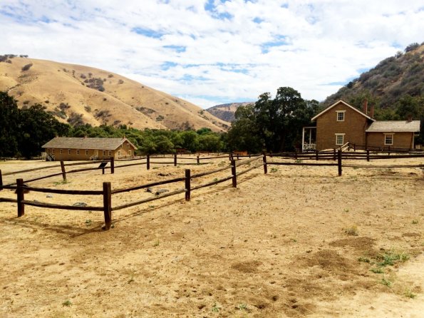 {&quot;focusMode&quot;:1,&quot;deviceTilt&quot;:0.005420120554514796,&quot;whiteBalanceProgram&quot;:0,&quot;macroEnabled&quot;:false,&quot;qualityMode&quot;:3}