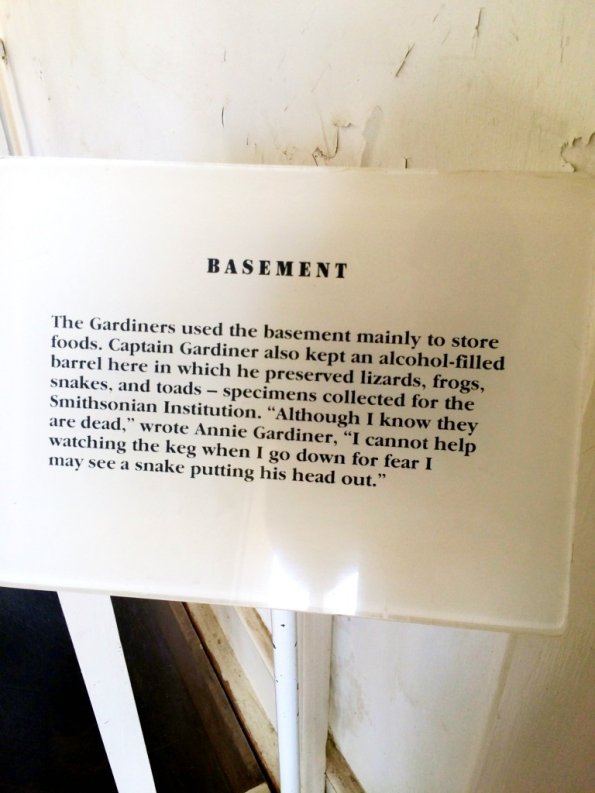 {&quot;focusMode&quot;:1,&quot;deviceTilt&quot;:0.03145913680526213,&quot;whiteBalanceProgram&quot;:0,&quot;macroEnabled&quot;:false,&quot;qualityMode&quot;:3}