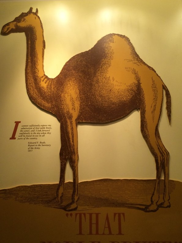 {&quot;focusMode&quot;:0,&quot;deviceTilt&quot;:0.03158907493087248,&quot;whiteBalanceProgram&quot;:0,&quot;macroEnabled&quot;:false,&quot;qualityMode&quot;:3}