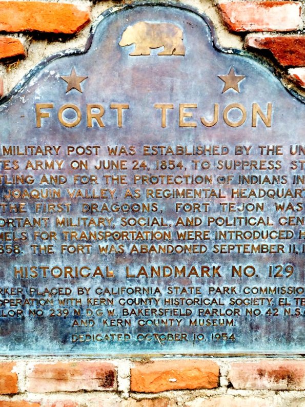 {&quot;focusMode&quot;:0,&quot;deviceTilt&quot;:0.04445843299361663,&quot;whiteBalanceProgram&quot;:0,&quot;macroEnabled&quot;:false,&quot;qualityMode&quot;:3}