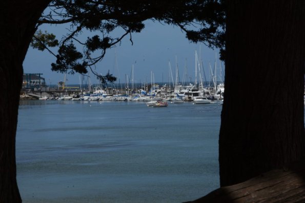 Monterey2016_0082