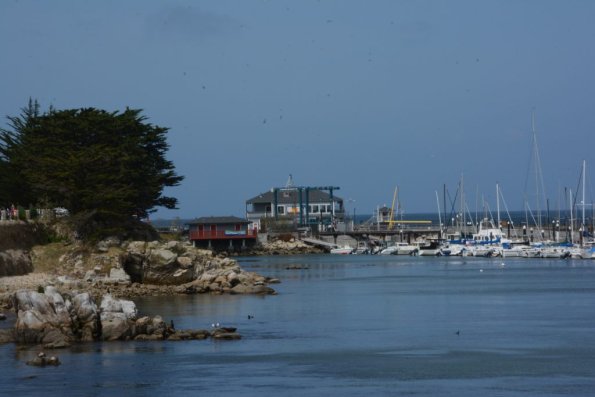 Monterey2016_0085