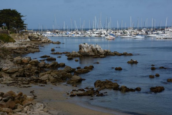 Monterey2016_0087
