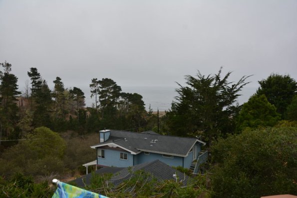 Cambria_0040