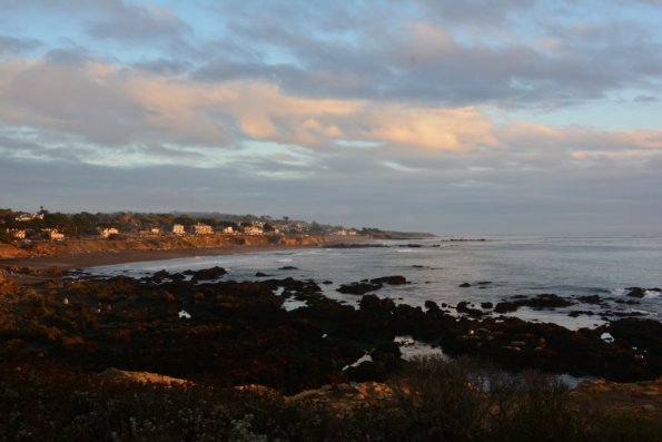 Cambria_0180
