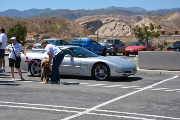 GamblersClassic_0002