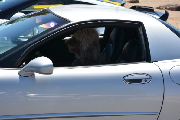 GamblersClassic_0038