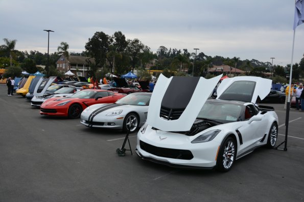 Vettes_Vets_0006