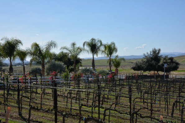 Temecula_0050