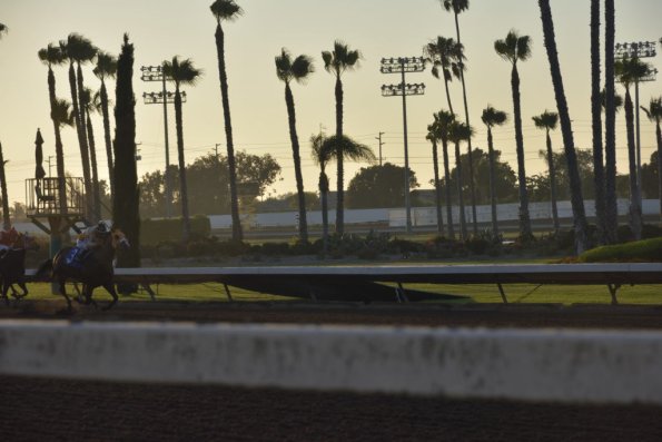 NightAtRaces_043