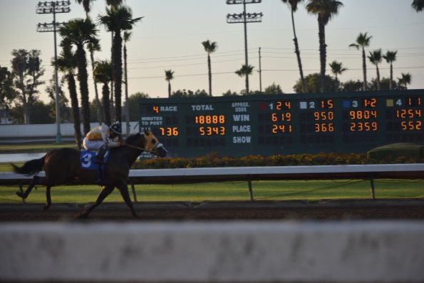 NightAtRaces_047