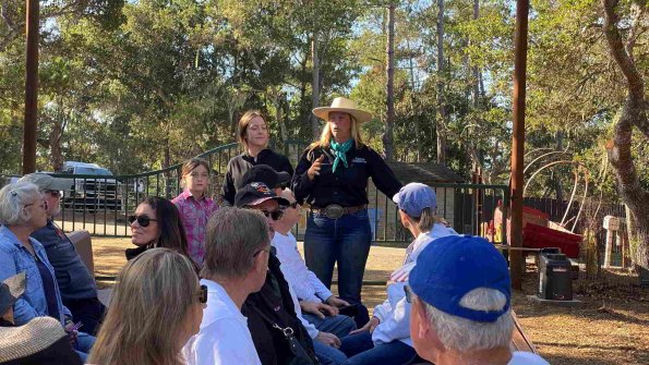 Cambria_2021_0056_01