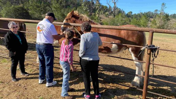 Cambria_2021_0069_01