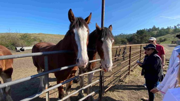 Cambria_2021_0072_01