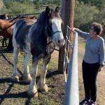 Cambria_2021_0091_01 (November 06, 2021)