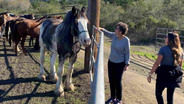 Cambria_2021_0091_01