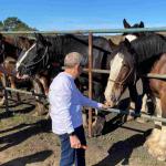 Cambria_2021_0094_01 (November 06, 2021)